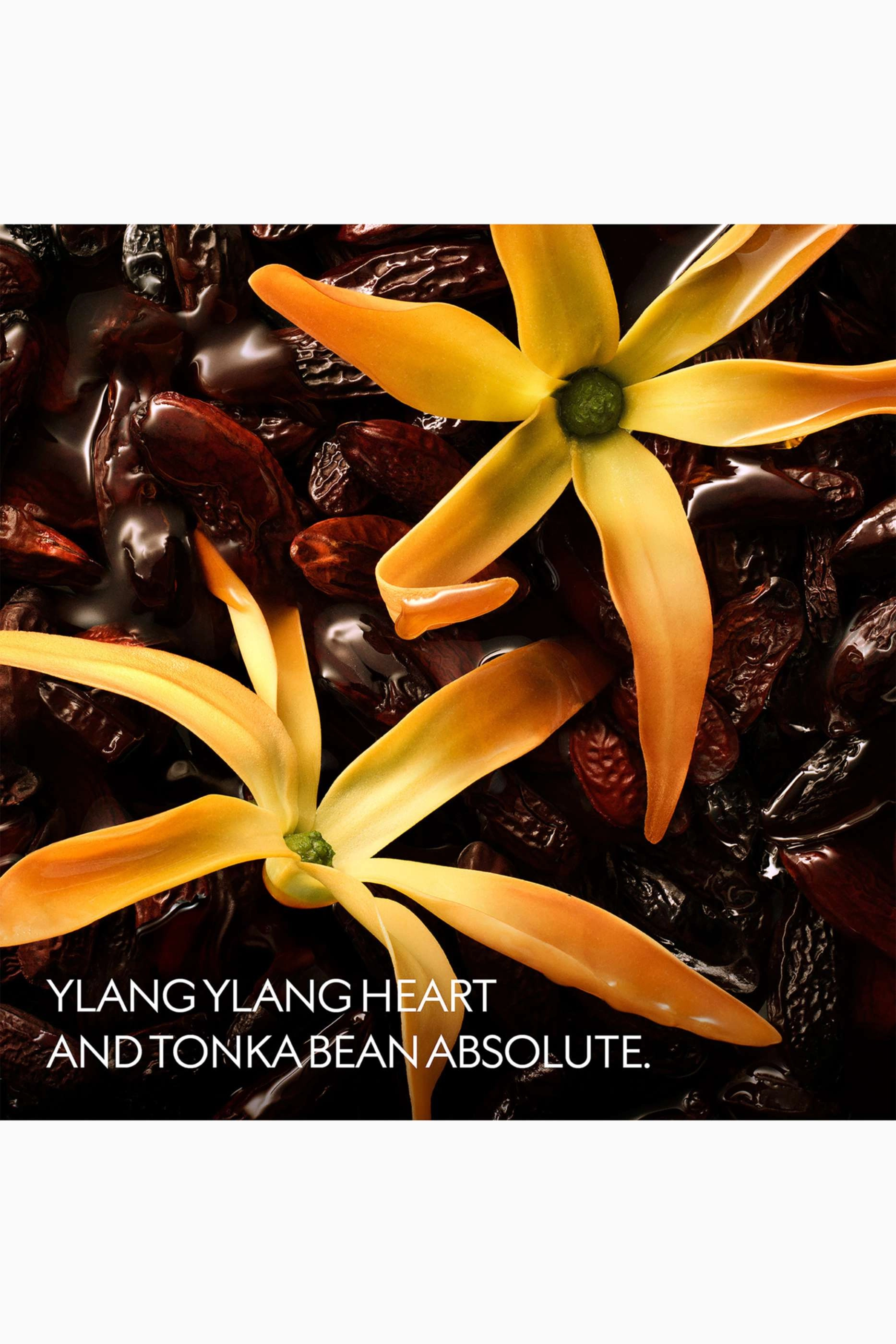 Ylang Ambrato Eau de Parfum 50ml