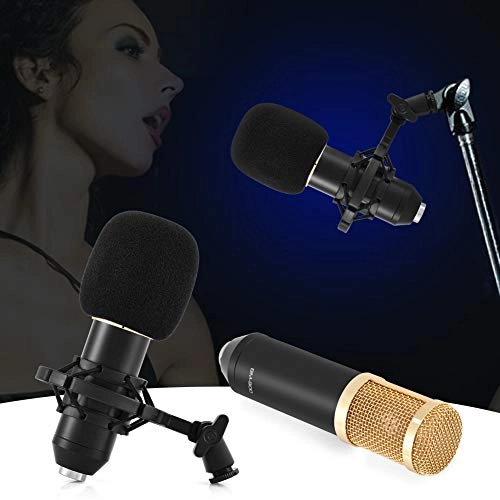 BM-900 USB Microphone