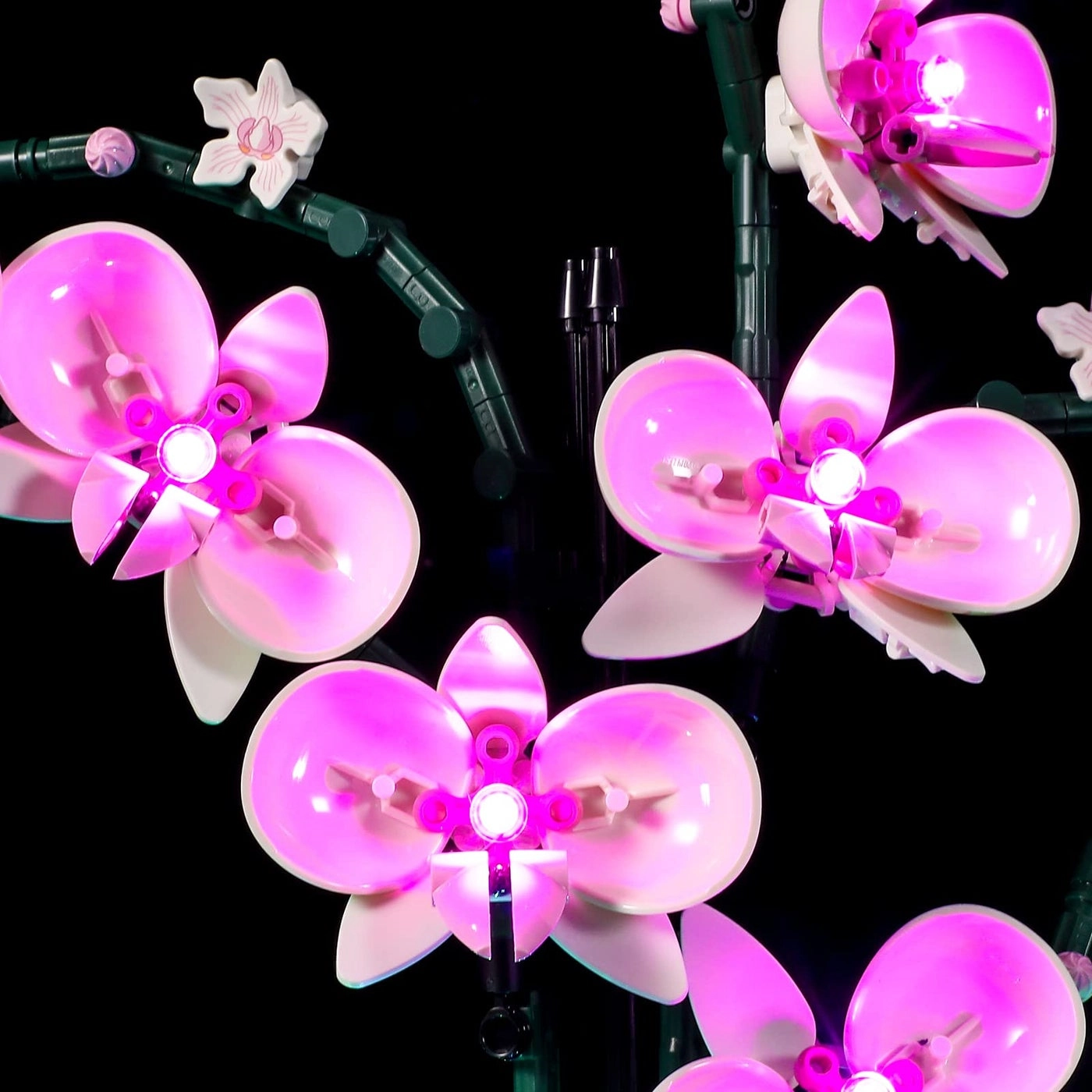 Led Lighting Kit - Flowers