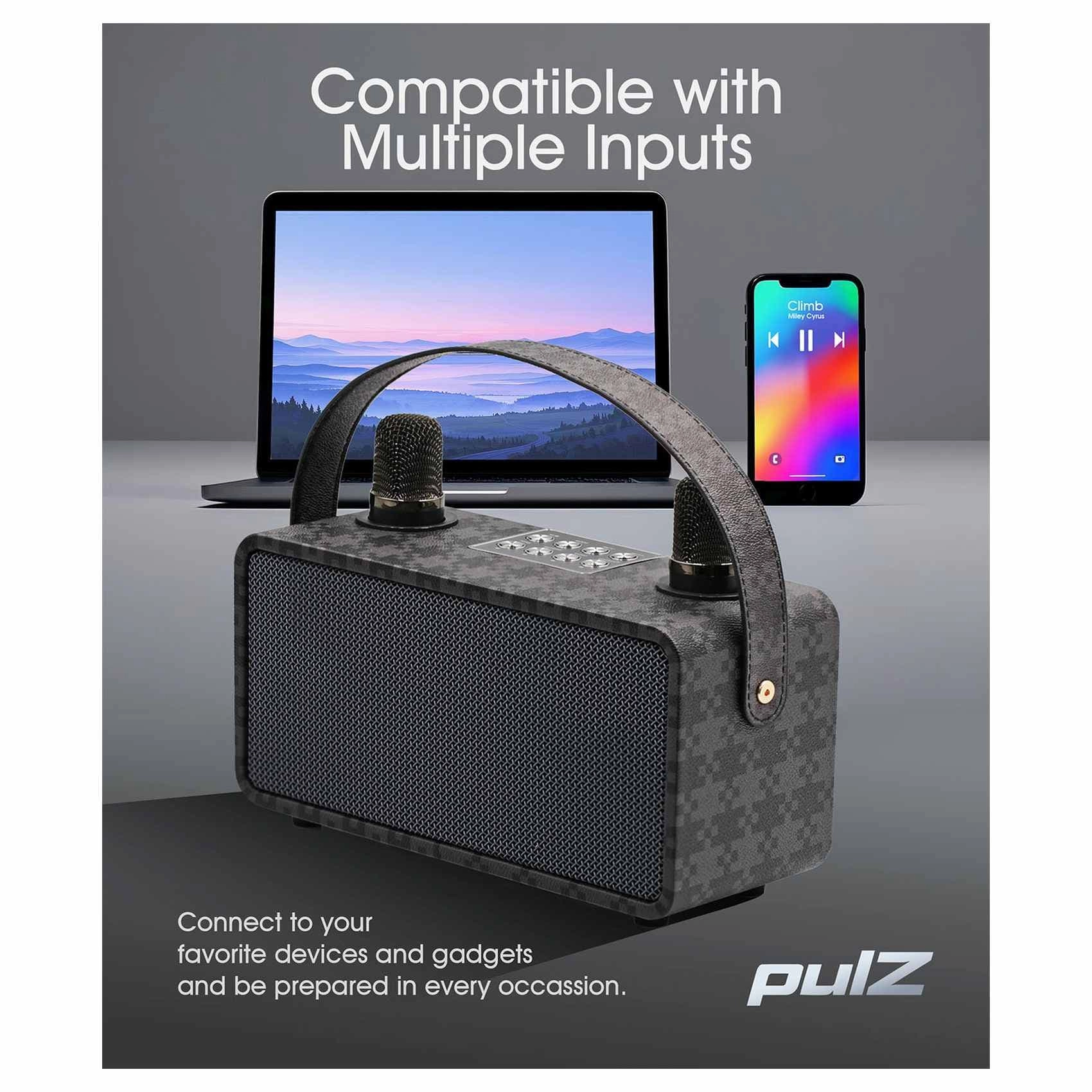 PulZ Mini Karaoke System - 2 Microphones