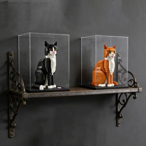 Acrylic Display Case - Plastic wood