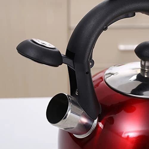 Stainless Steel Kettle - 2.5L