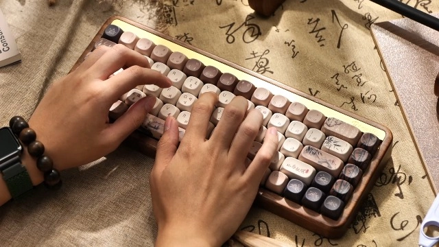 CS Switches - 45 piece(s)