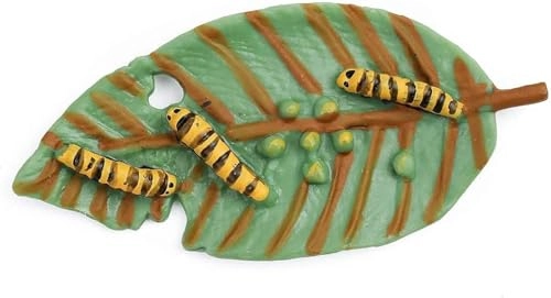 Butterfly Life Cycle Biology - 18 months - 3 years