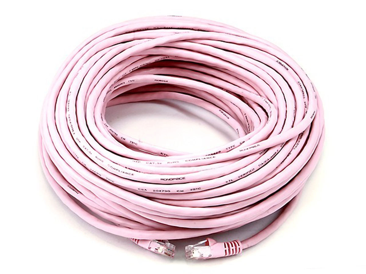 Cat5e Patch Cable - 100ft