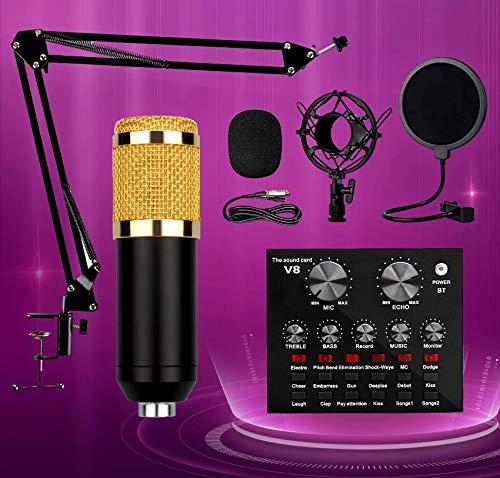 V8 Wired Microphone + BM-800 Wired Microphone