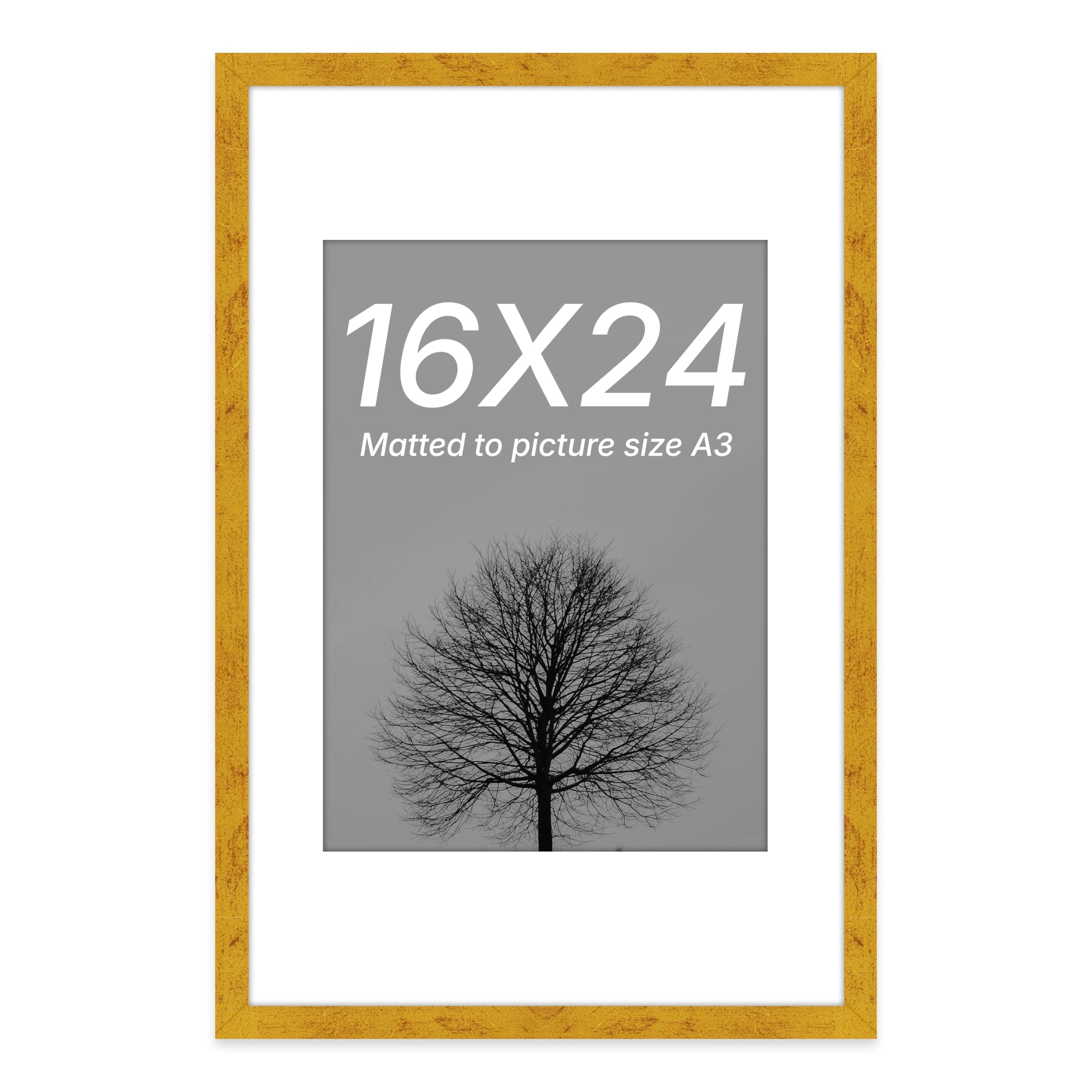 Document Frame - 16x24 Inch