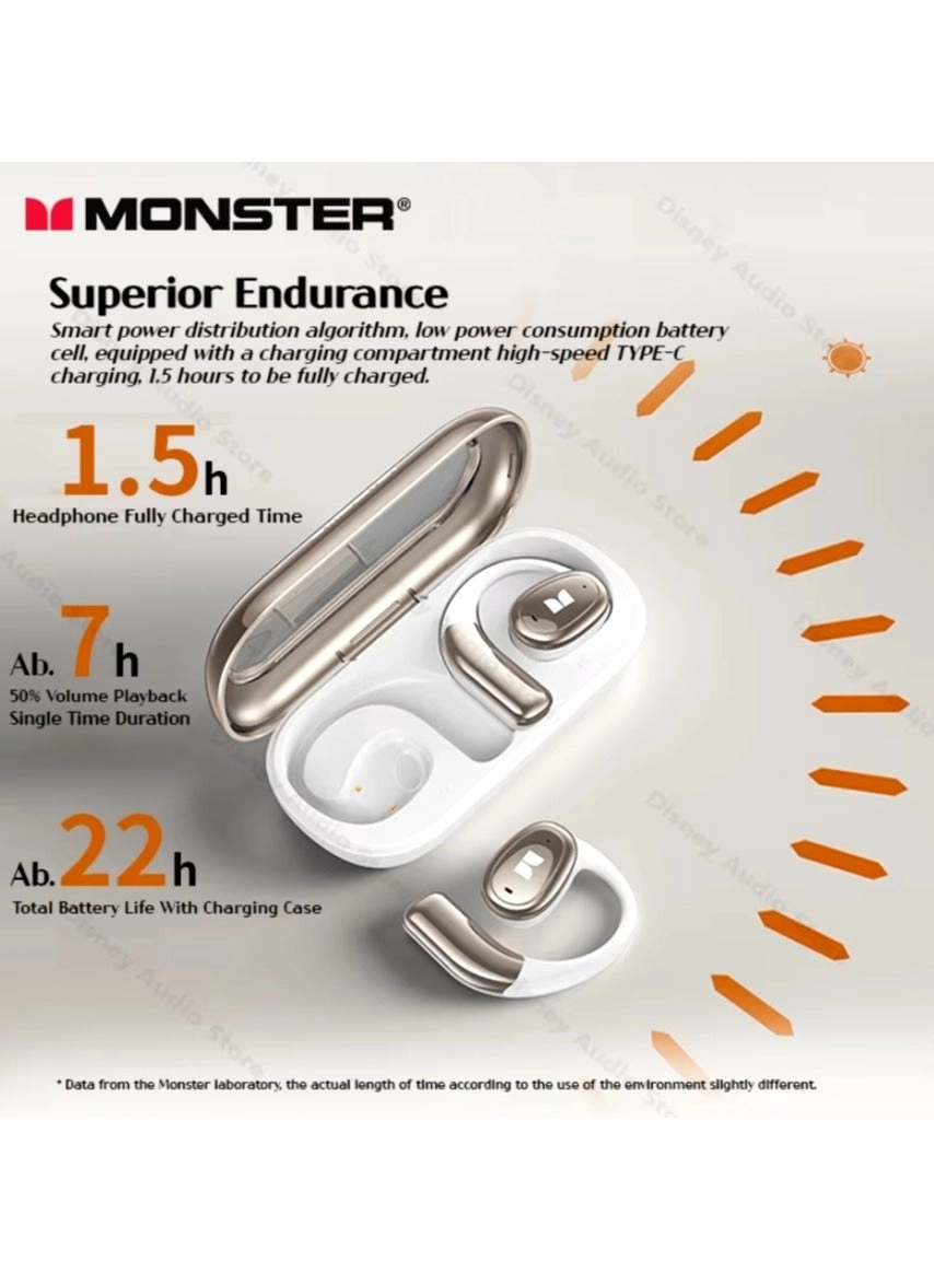 AC311 Wireless Earphone