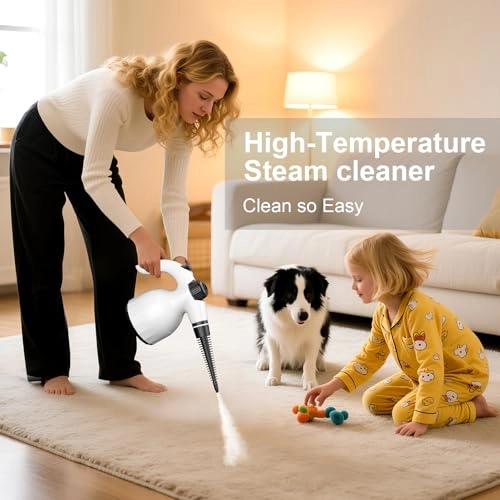 Handheld Steam Cleaner - 350ml