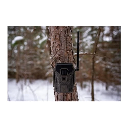 Terra XT 2.0 - 24MP