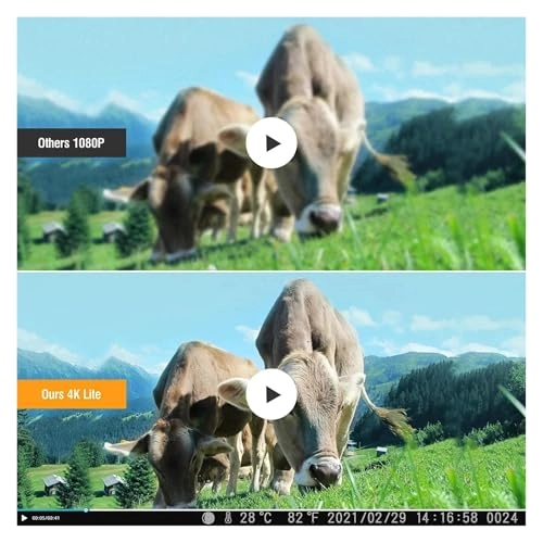 Trail Camera - 4G 14MP