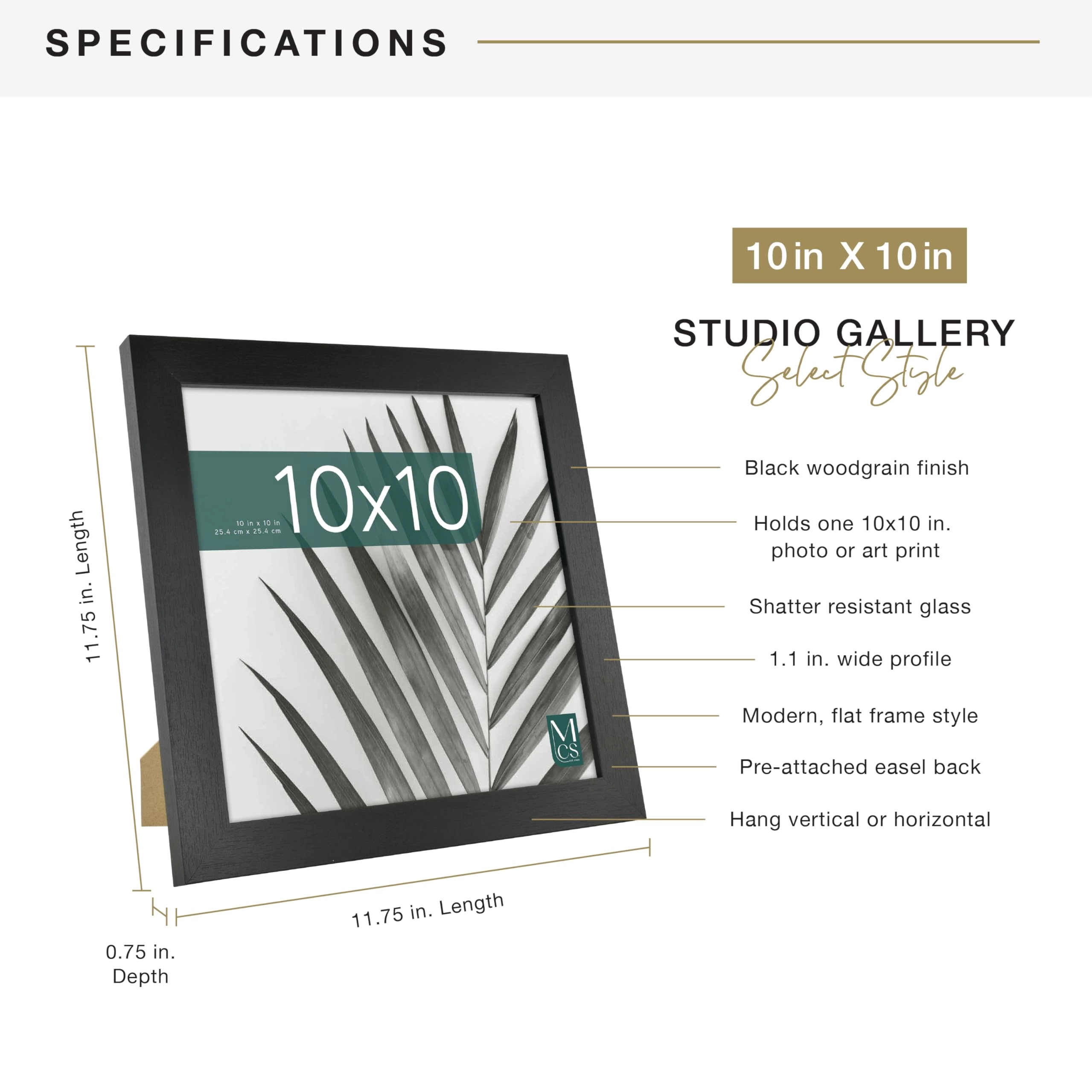 Studio Gallery - 10x10