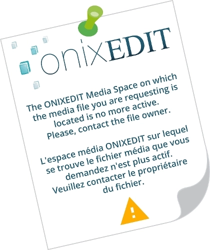 Phoenix International Publications, Incorporated Turtle First Look & Find Activity Book