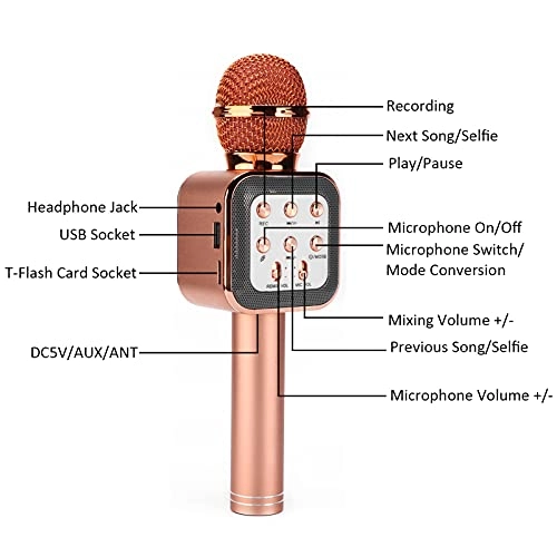 Microphone Speaker - 5W