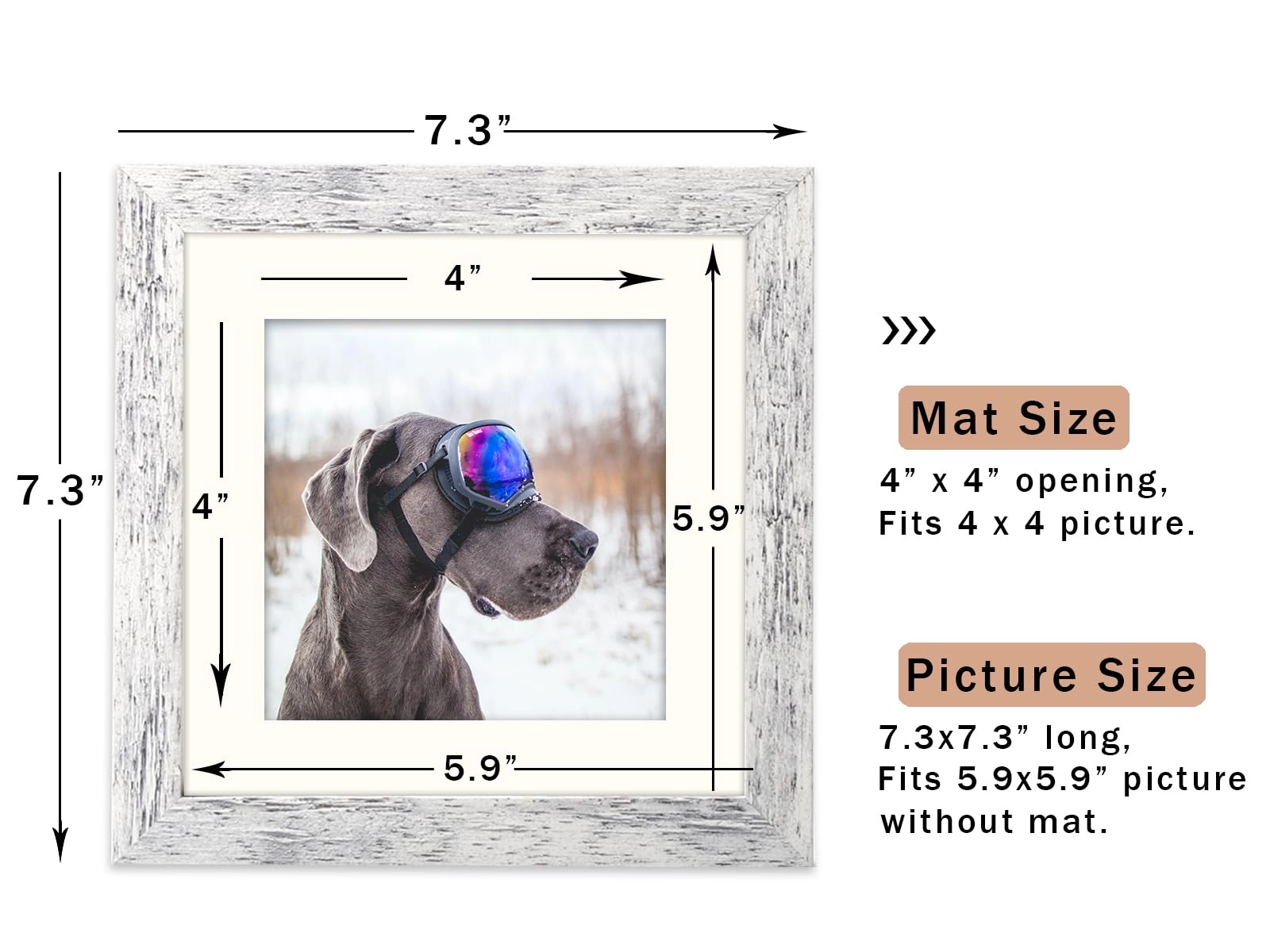 Single Picture Frame - 6x6 1
