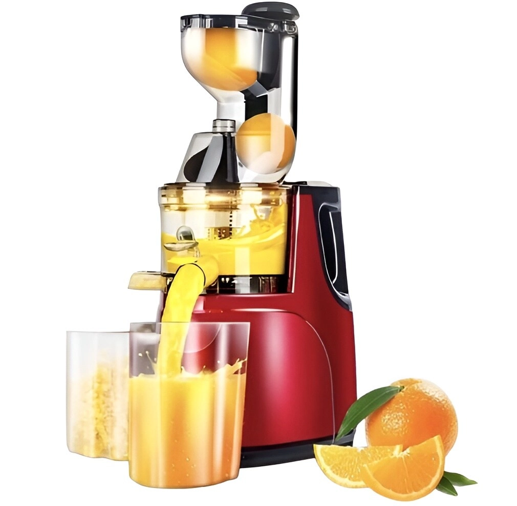 Dealio Slow Masticating Juicer Extractor - Wide Chute Quiet Motor BPA-Free
