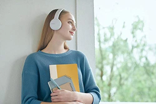 WH-CH510 Wireless Headphone