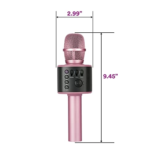 Karaoke Microphone