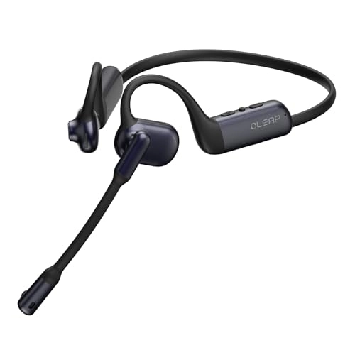 P200b Wireless Headset