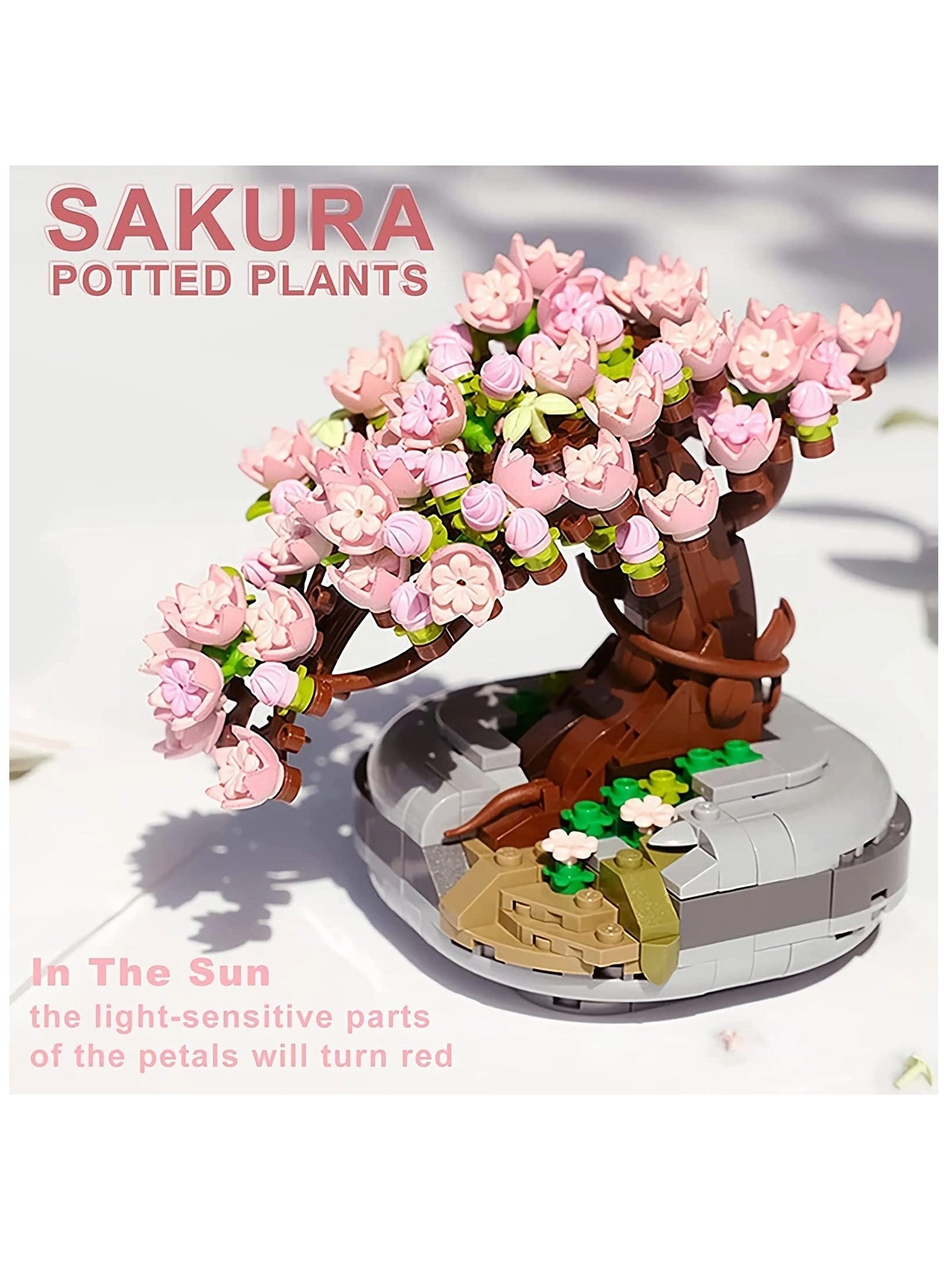 Cherry Blossom Bonsai Tree - Sakura