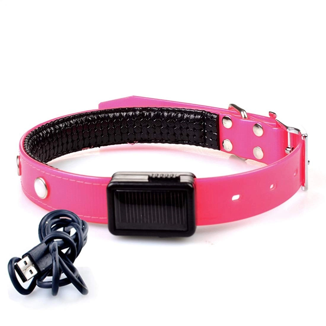 ZheXun Pet Collar - Charging ( L) Dog