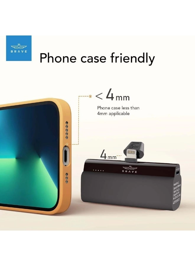 Mini - 5000 Watt-hour 20 Watt