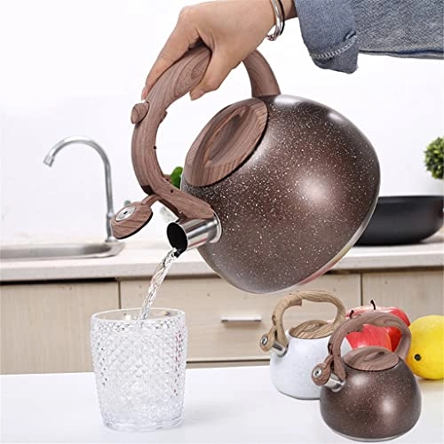Stovetop Induction Whistling Kettle - 5L