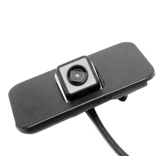 23378804 - Night vision