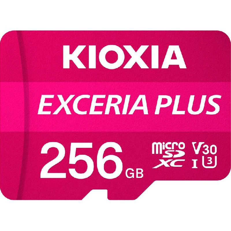 Exceria Plus - 256GB