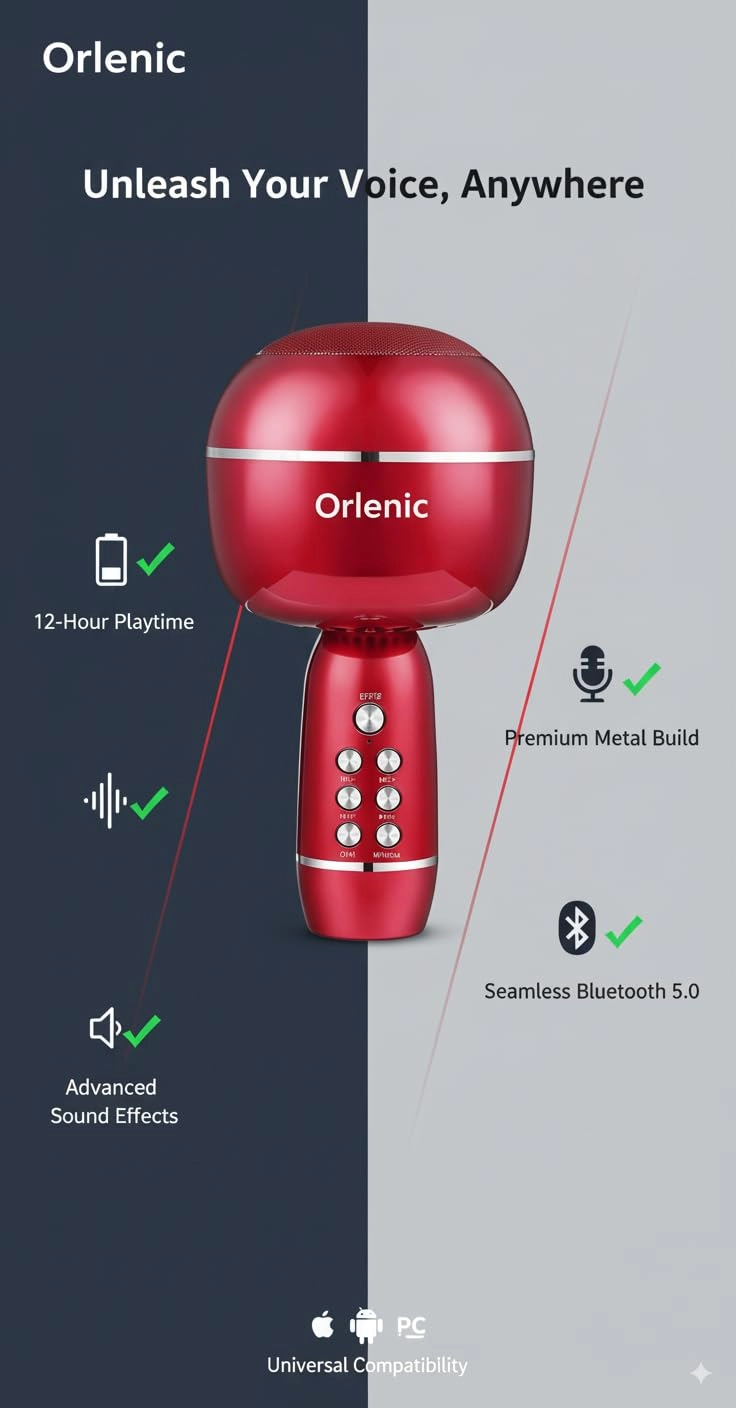 Portable Karaoke Microphone