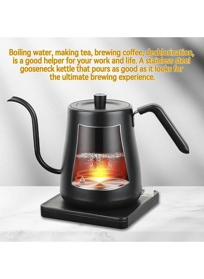 Temperature Control Electric Kettle