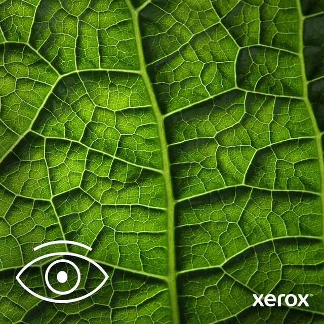 Stand out with spectacular image quality.