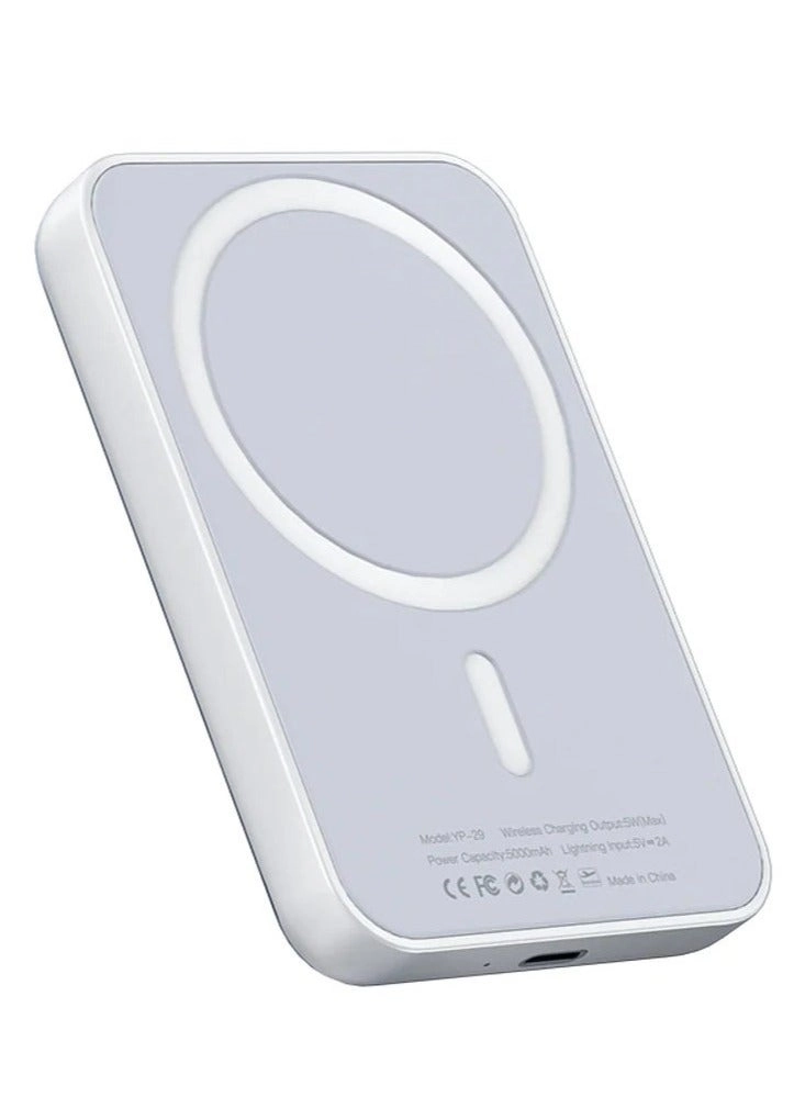 YP29 - 5000mAh Qi USB-C