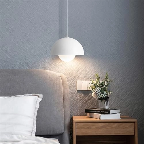 WQCSH Pendant lamp - Dimmable
