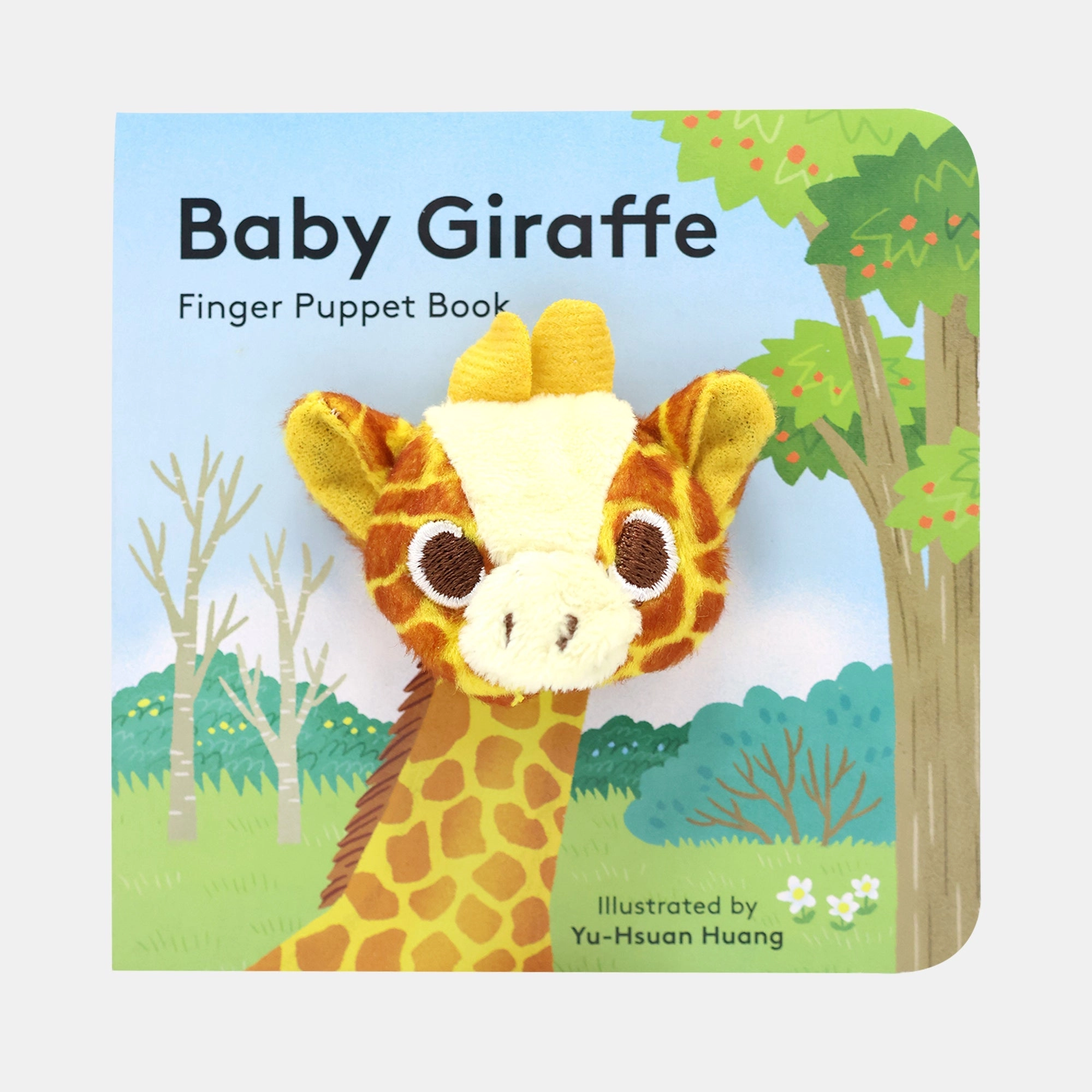 Baby Giraffe