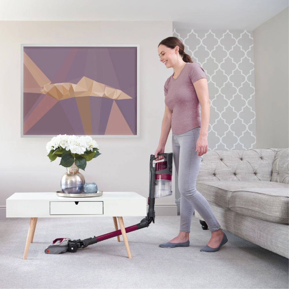 Cordless Vacuum Cleaner (GOG-IZ201ME)