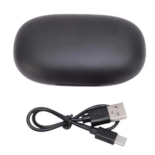 Al Translation Earphones - over 164 languages + Earphone Charging Case + Charging Cable + User Manual