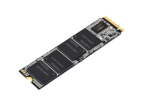 NX M2 NVME - 256GB 42 Inches