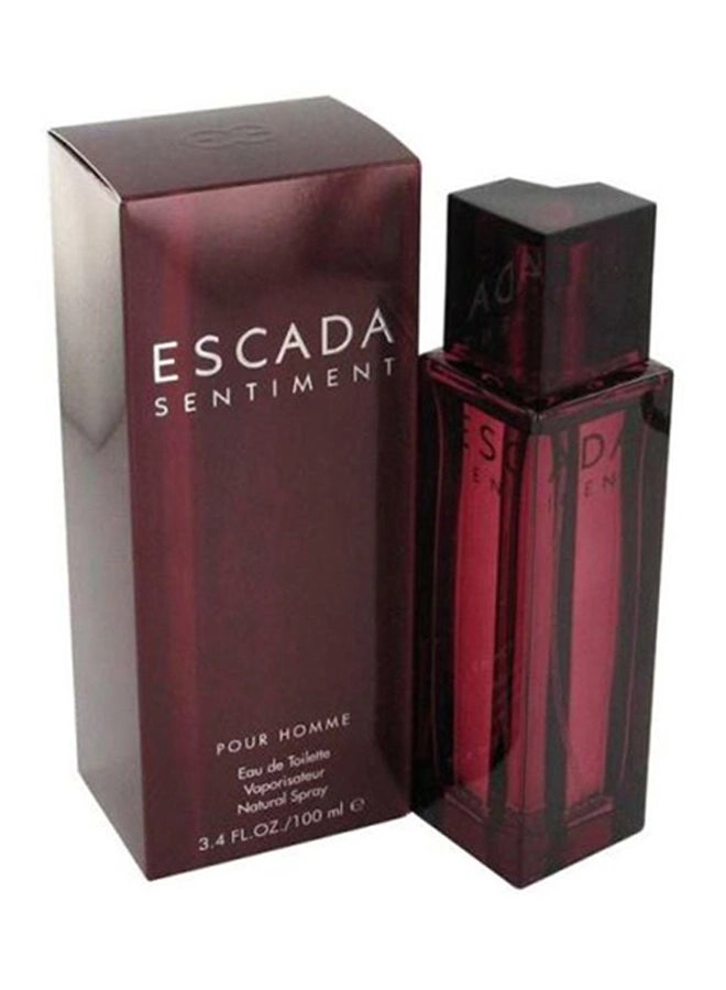 Sentiment Eau de Toilette 100ml