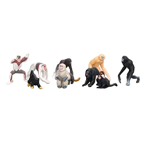 Primate Animal Model Set - 10 pieces