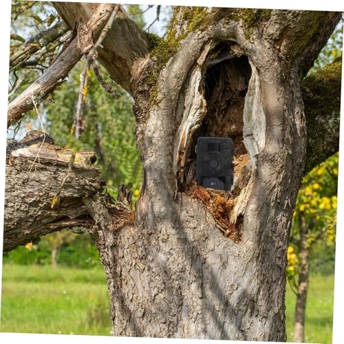 Game & Trail Cameras - Motion Activated HD Color Screen