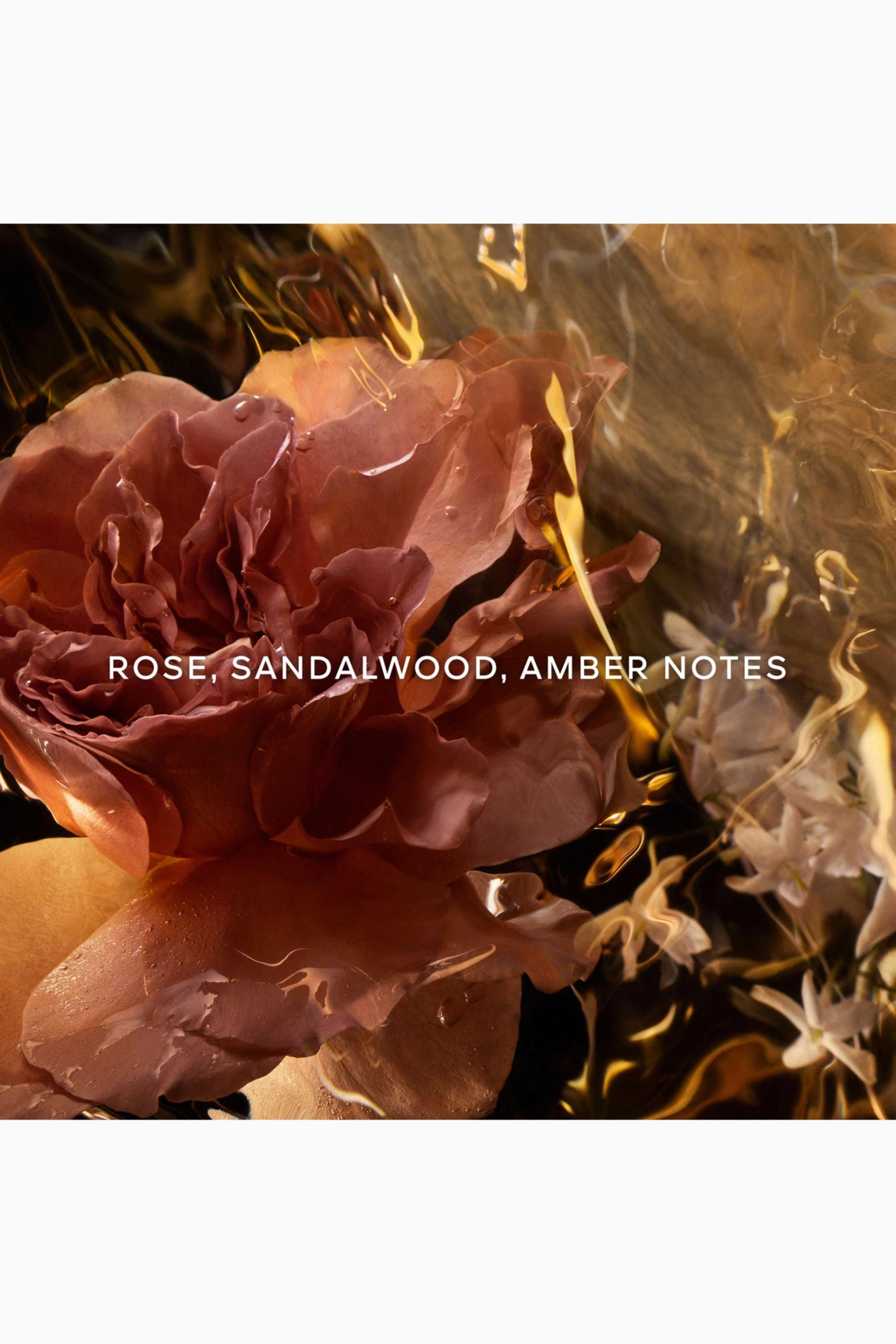 Santal Royal Hair Mist - 40 milliliter Dark Leather Notes Oud Accord Jasmine Rose