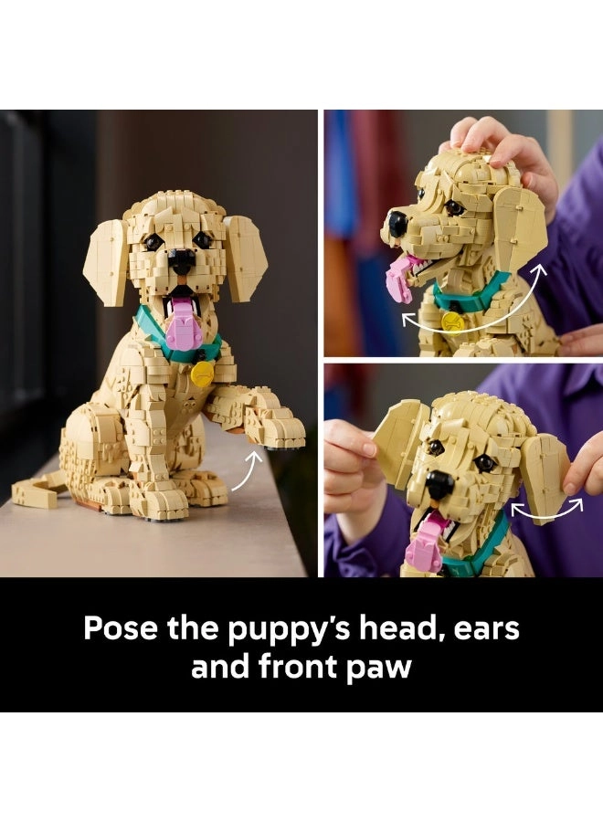 Golden Retriever Puppy (11384) - Posable Home Decor