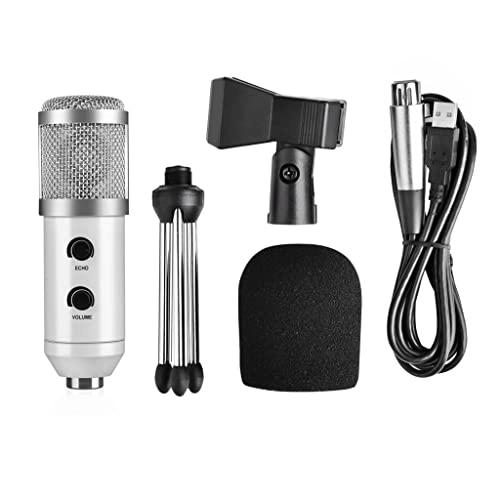 ss1/i47578 USB Microphone
