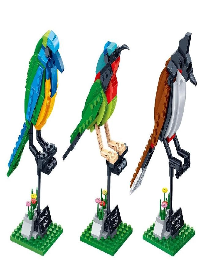 Apostrophe Games Birds Model Building Block Kit - Red-whiskered Bulbul Orange-bellied Leafbird Fork-tailed Sunbird 408pcs