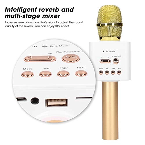 Mic