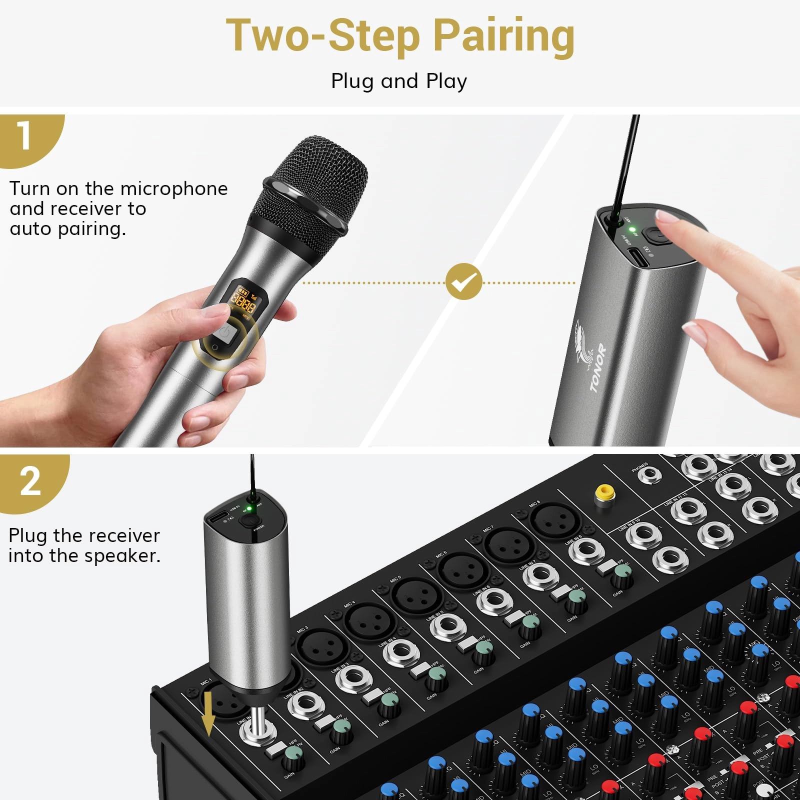 TW630 - 2Mics