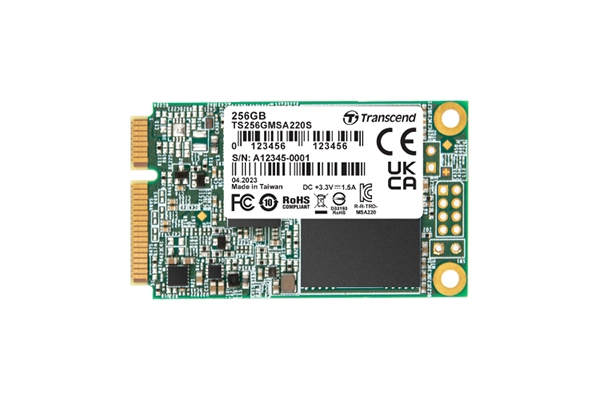 TS256GMTE220S - 256GB M 2