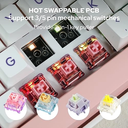 EP84 Plus - Compact 75% Wired/Wireless