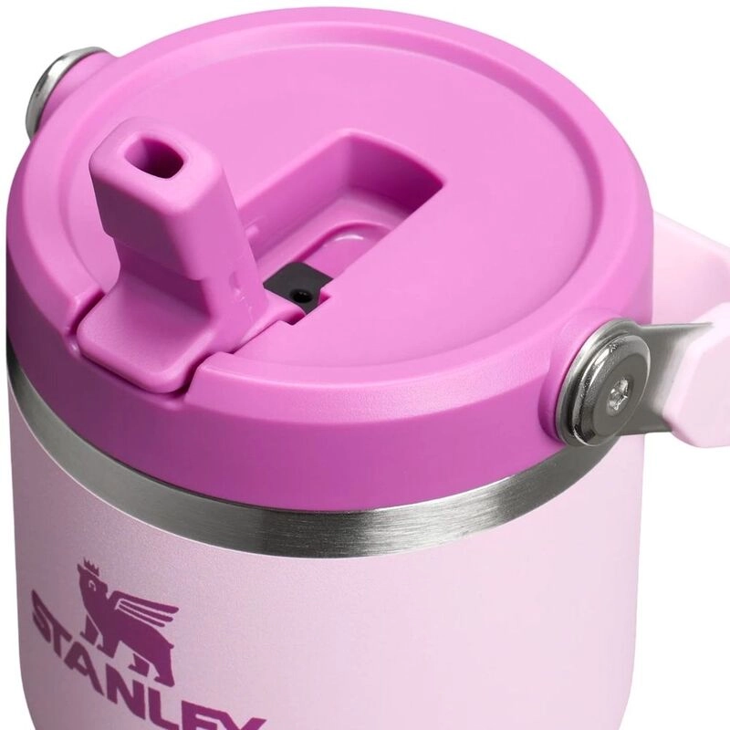 Ice Flow Go Water Bottle - Flip Straw - 600 ml